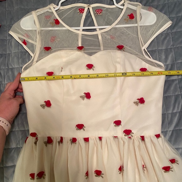 Magnolia Park Vintage Style Tulle Dress with embroidered roses - Picture 7 of 10
